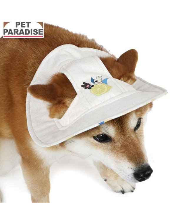 PET PARADISE リサとガスパール シトラス リネン 帽子 ＳＭ～Ｍ/Ｌ 中型犬 大型犬 ベージュ