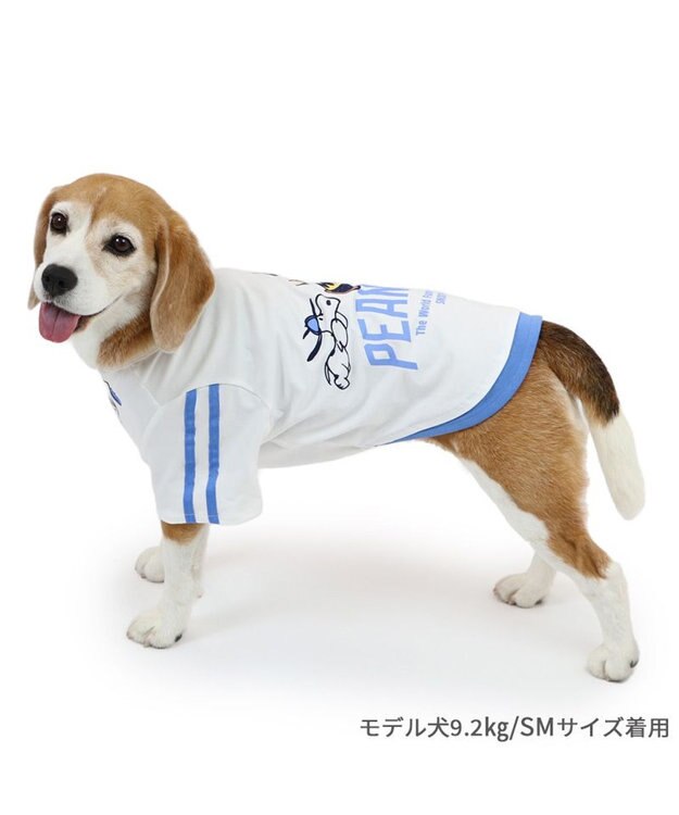 PET PARADISE スヌーピー Tシャツ 《ファインプレー柄》 白色 中型犬 大型犬 ファインプレー柄