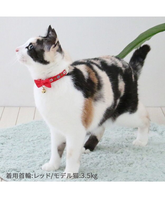 PET PARADISE ペットパラダイス 猫 首輪 チロリアン 《レッド》 レッド