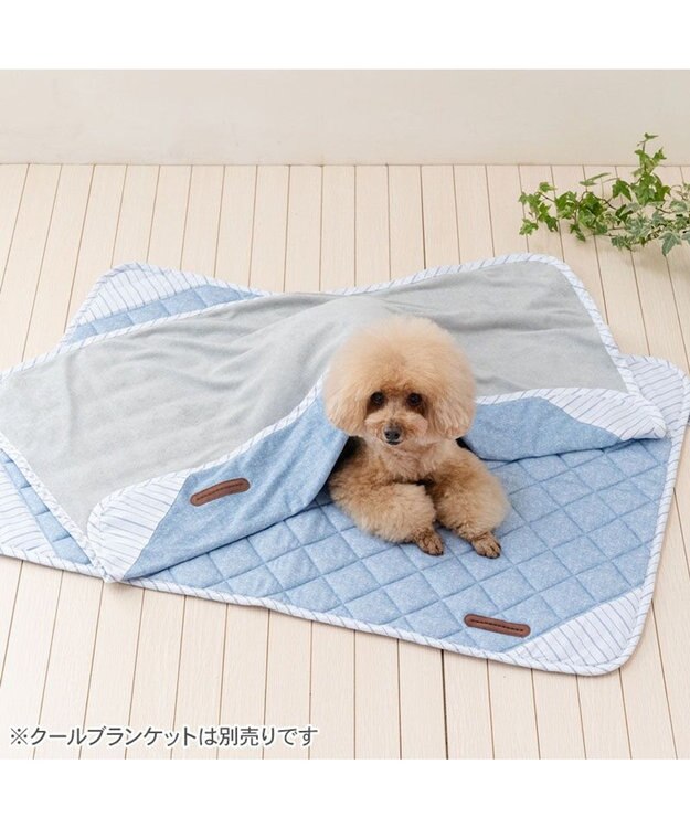 PET PARADISE ペットパラダイス クールマット 《シャンブレー風》 Ｍ ライトブルー