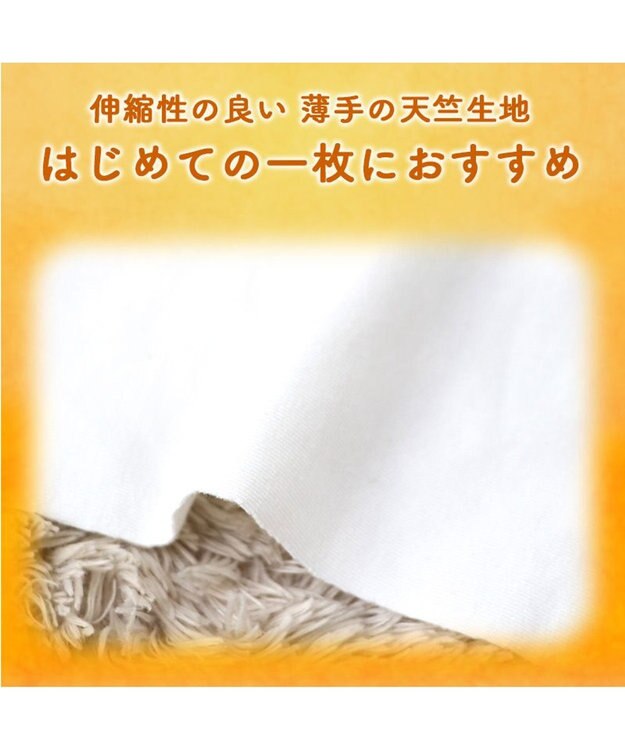 PET PARADISE ペットパラダイス くまちゃん ペティヒート 天竺 腹巻 小型犬 オフホワイト