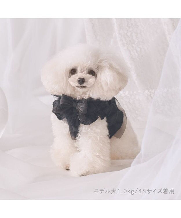 PET PARADISE cherircouture フリフリハーネス 《ブラック》 小型犬 ＳＳ ブラック