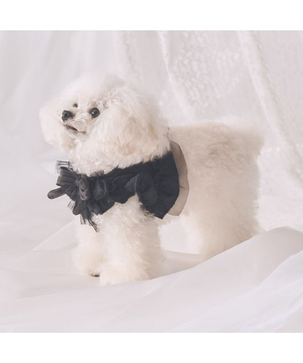 PET PARADISE cherircouture フリフリハーネス 《ブラック》 小型犬 ＳＳ ブラック