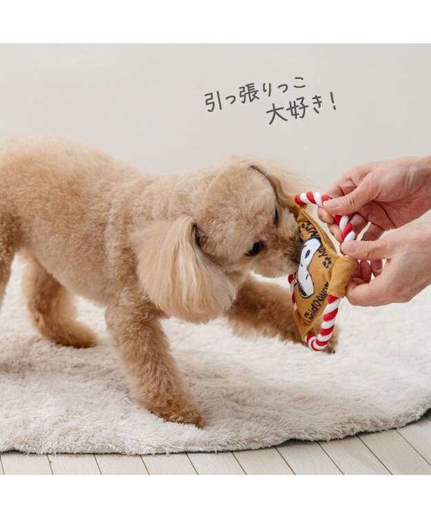 PET PARADISE スヌーピー ロープフリスビー トイ レッド