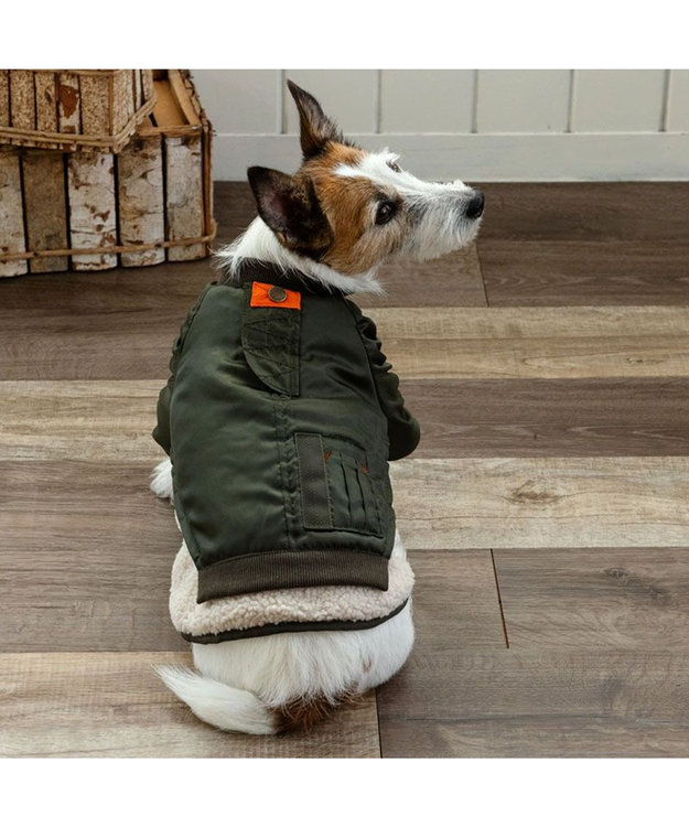 PET PARADISE ペットパラダイス 遠赤外線 ドッキングブルゾン 小型犬 カーキ