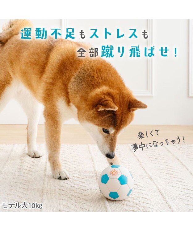 PET PARADISE ペットパラダイス サッカーボール 大 ホワイト