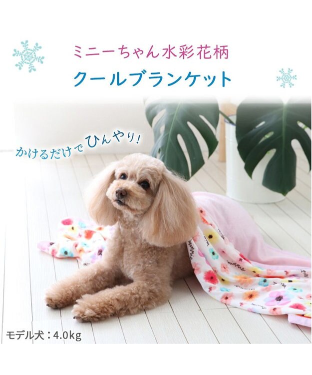 PET PARADISE ディズニー ミニーマウス 花柄 クールブランケット (90×60cm) ピンク（淡）