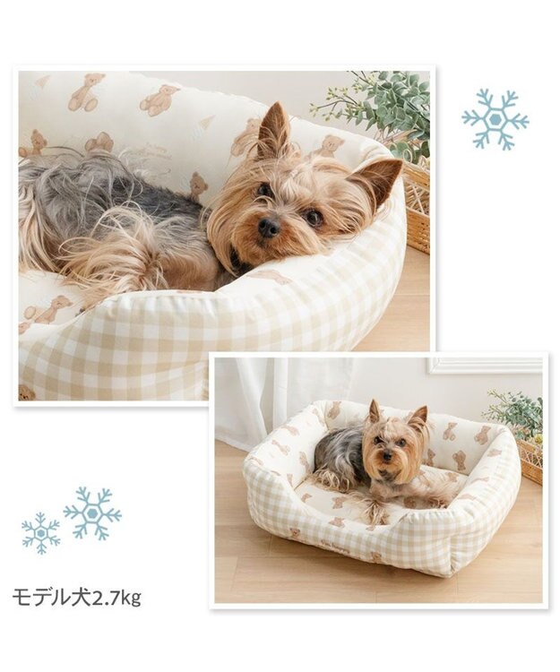PET PARADISE ペットパラダイス くまさん クールカドラー 《アイス柄》Ｍ ホワイト