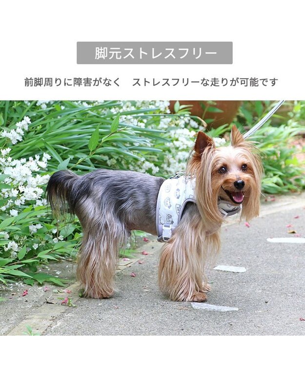 PET PARADISE ディズニー 101匹わんちゃん 保冷剤ポケット付き ハーネス Ｓ 小型犬 保冷付
