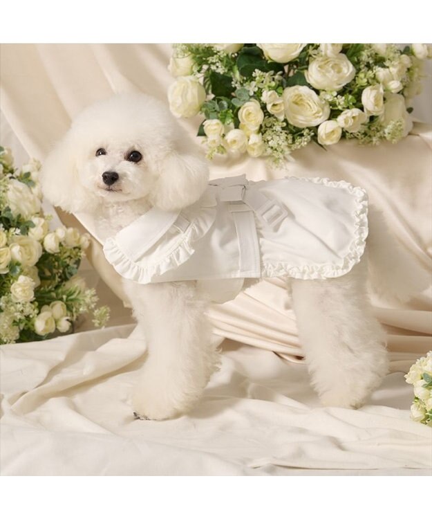 PET PARADISE cherircouture フリフリ トレンチコート 小型犬 オフホワイト