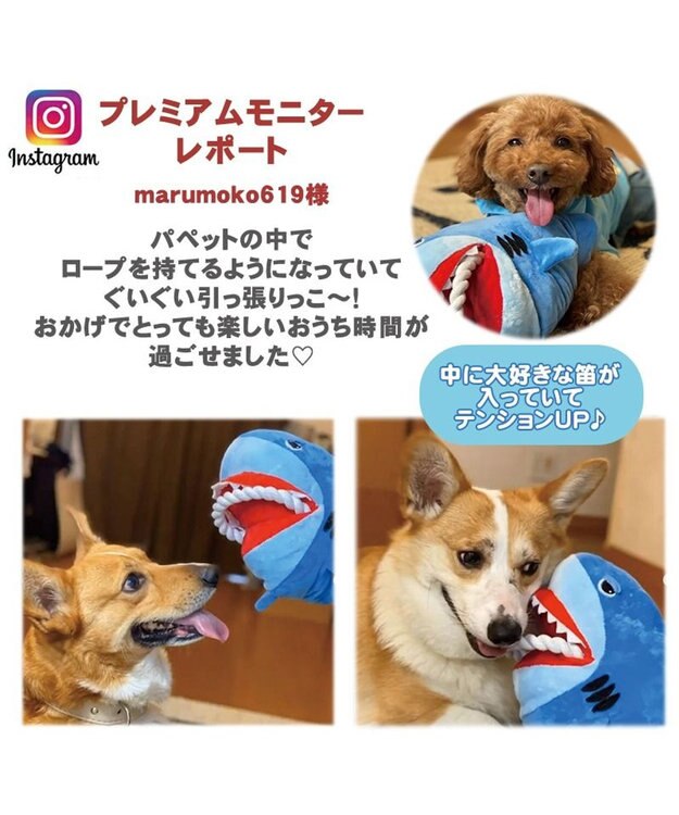 PET PARADISE  ペットパラダイス  パペット トイ サメ 水色