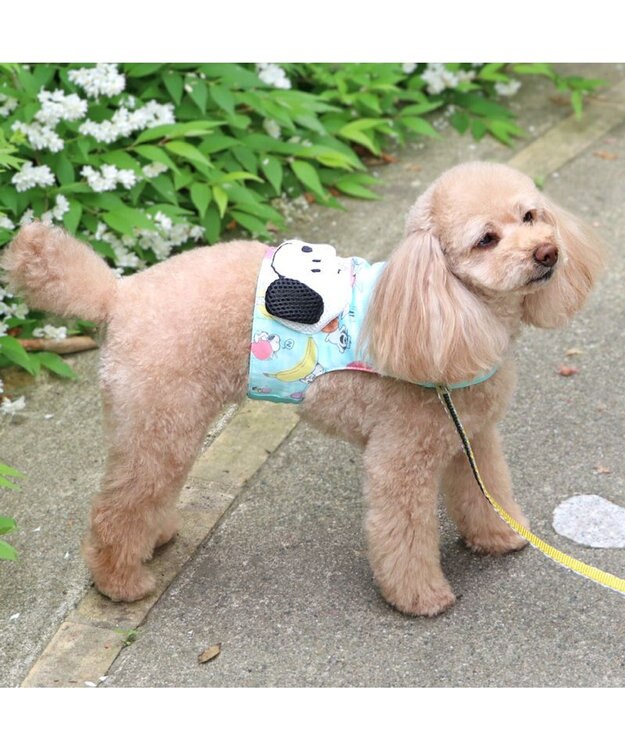 PET PARADISE スヌーピー クールベスト 《果物柄》 小型犬 果物柄