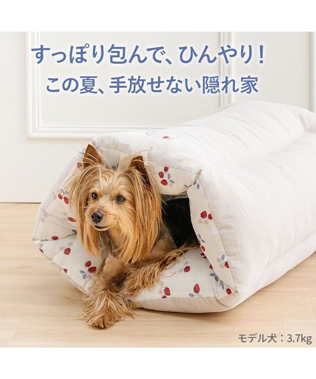 PET PARADISE ペットパラダイス クール トンネルカドラー 《苺花柄》 ホワイト×レッド