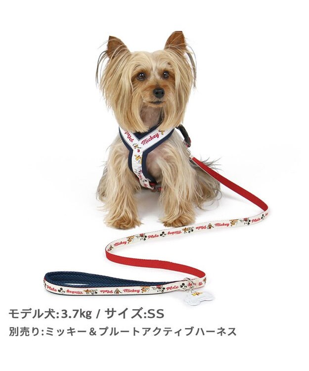 PET PARADISE ディズニー ミッキーマウス プルート 散歩柄 リード 【ＳＳ~Ｓ】 小型犬 -