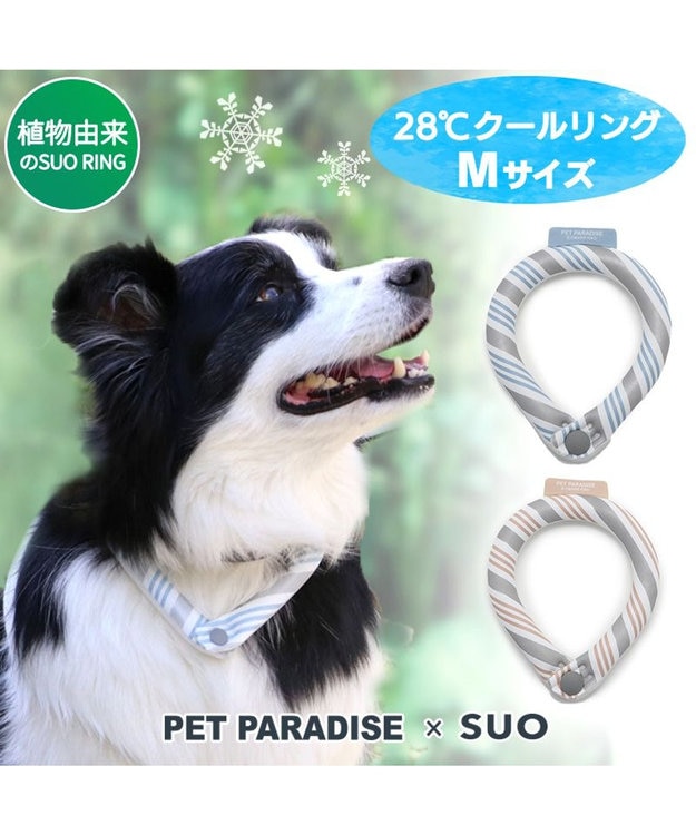 PET PARADISE クールリング 犬 クールネック ひんやり 28℃クールリング 【Ｍ】 リフレクター 水色 ベージュ 反射材付き 水色 Ｍ