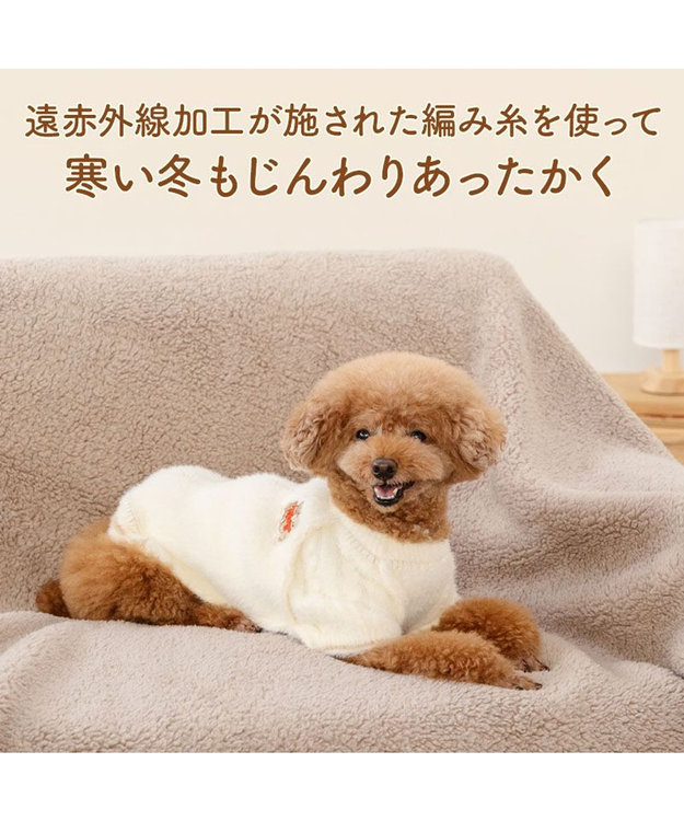 PET PARADISE ペットパラダイス くまちゃん ぬくふわニット 小型犬 ホワイト