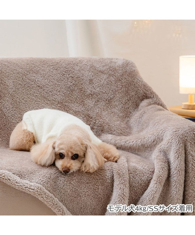 PET PARADISE ペットパラダイス くまちゃん ぬくふわニット 小型犬 ホワイト