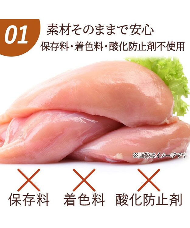 PET PARADISE フリーズドライ 鶏むね肉ほぐし 大袋 55g 国産 -