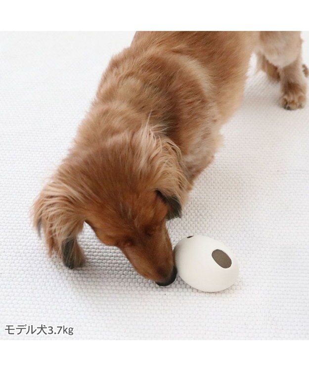 PET PARADISE リサとガスパール ラテックストイ 《リサ》 ホワイト