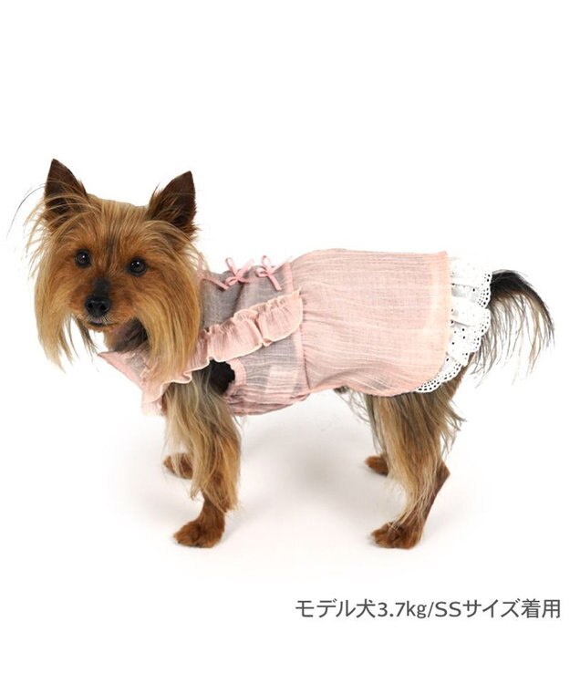 PET PARADISE ペットパラダイス スプリング ワンピース 《ピンク》 超小型犬 小型犬 ピンク