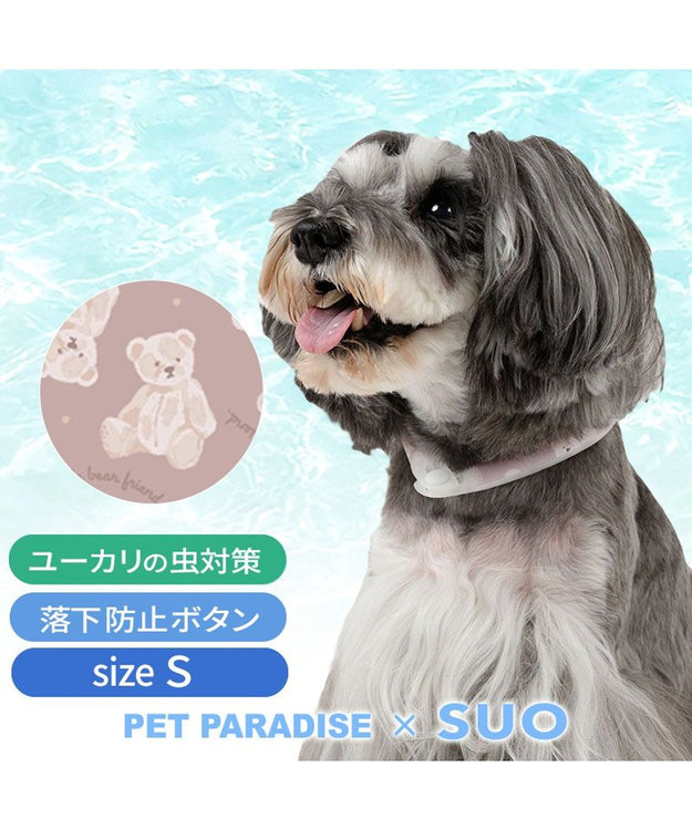 PET PARADISE ペットパラダイス 28℃クールリング  《くま》 Ｓ 小型犬 くま柄