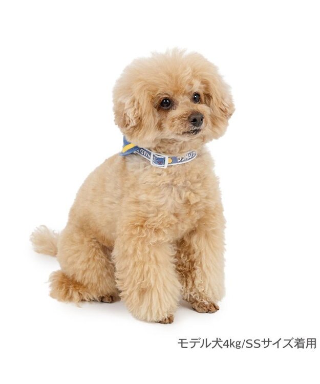 PET PARADISE ディズニー ドナルドダック セーラー付き首輪 Ｓ ブルー