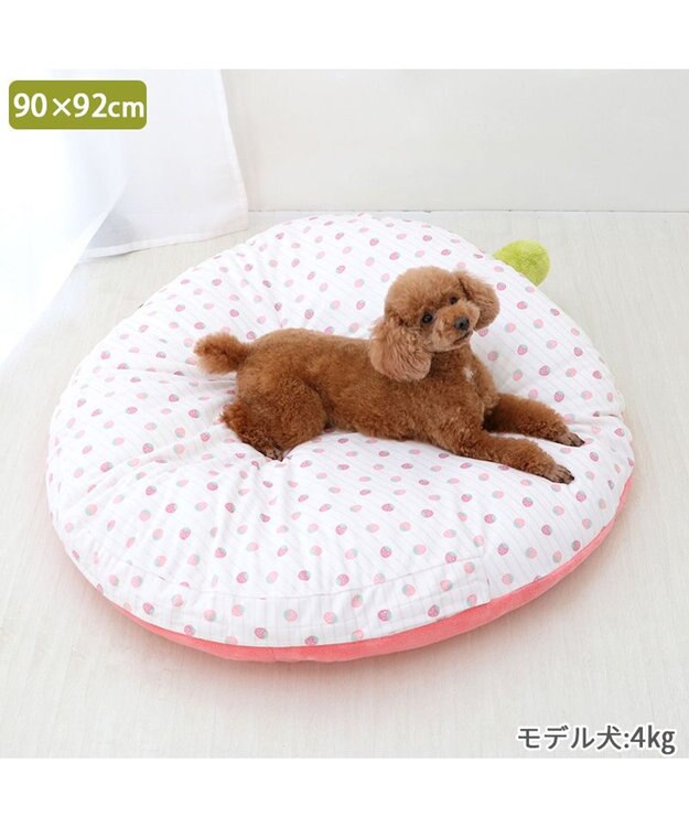 PET PARADISE ネット店限定 ペットパラダイス 春いちご クッション  L パステルピンク