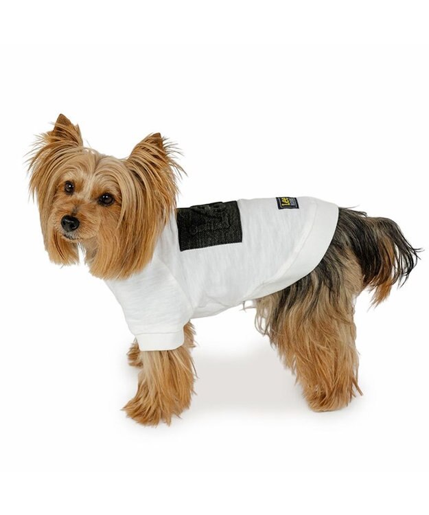 PET PARADISE Lee エンボス ロゴ Ｔシャツ 《ホワイト》 小型犬 ホワイト