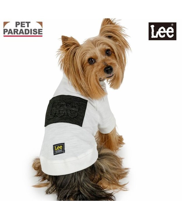 PET PARADISE Lee エンボス ロゴ Ｔシャツ 《ホワイト》 小型犬 ホワイト