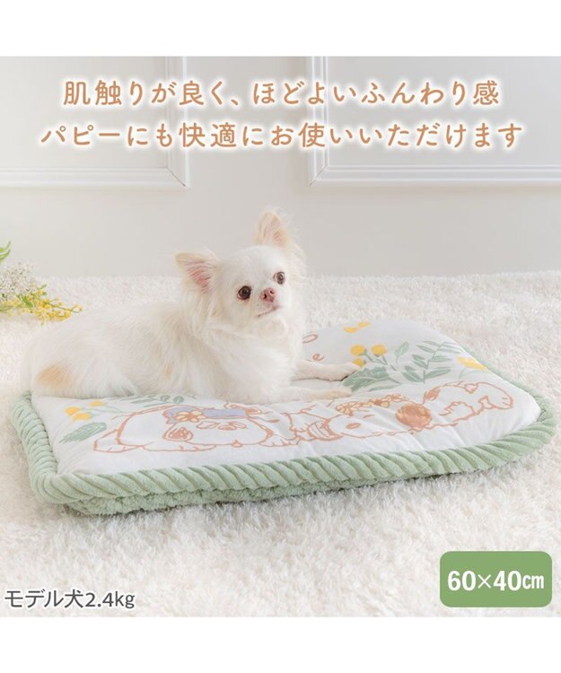 PET PARADISE スヌーピー マット Ｓ 《のほほん柄》　 ホワイト×グリーン