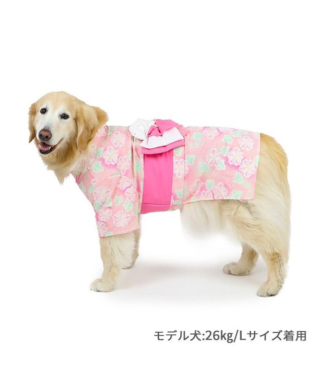 PET PARADISE ペットパラダイス 絞り風 浴衣 《朝顔》 中型犬 大型犬 朝顔