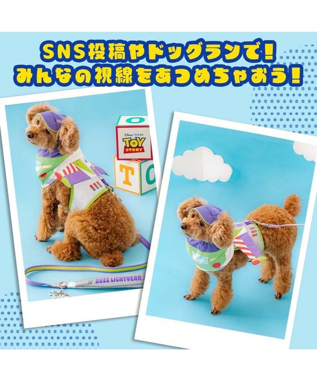 PET PARADISE ディズニー トイ・ストーリー バズ リード ４Ｓ～３Ｓ パープル