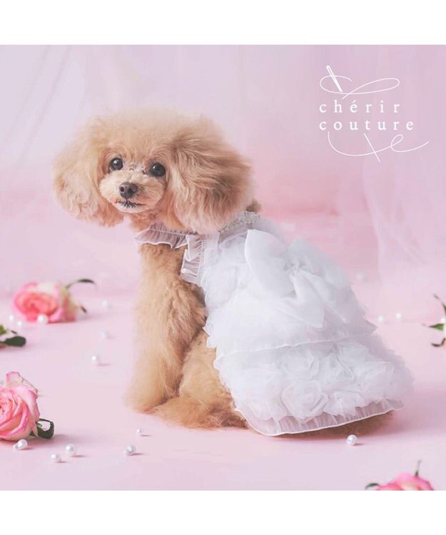 PET PARADISE cherircouture メニーローズ ワンピース ホワイト 小型犬 ホワイト