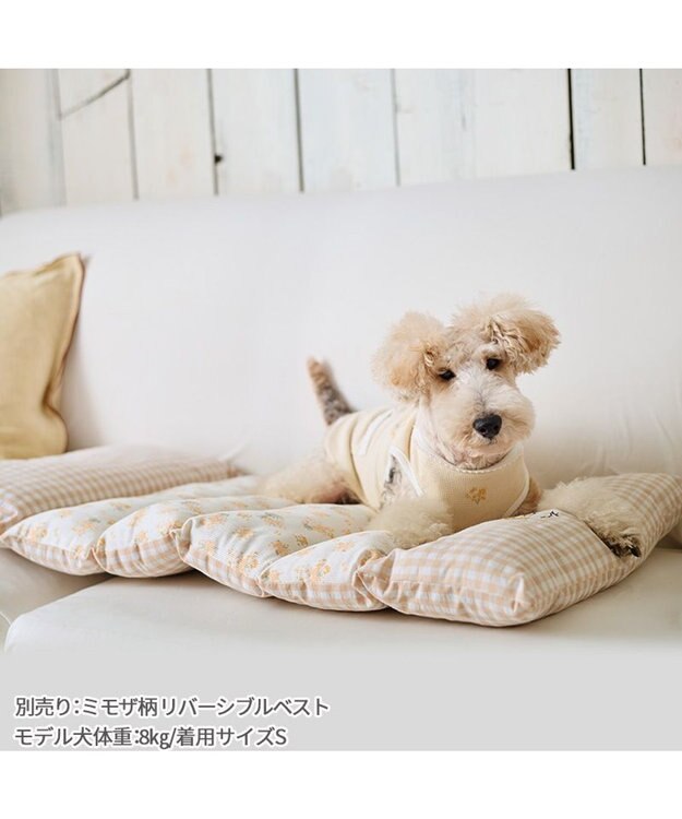 PET PARADISE ペットパラダイス ごろ寝マット 《ミモザ柄》 小型犬 ミモザ