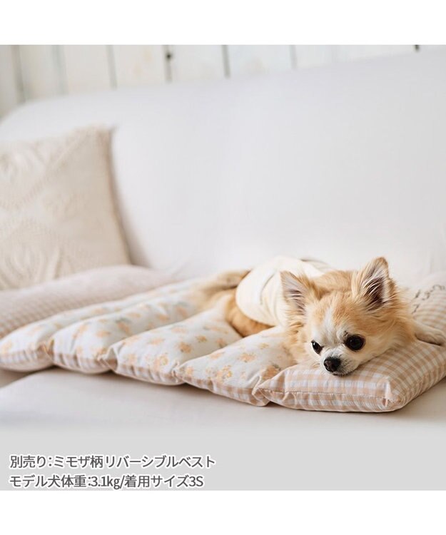 PET PARADISE ペットパラダイス ごろ寝マット 《ミモザ柄》 小型犬 ミモザ