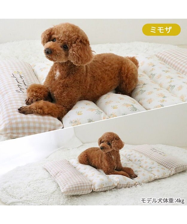 PET PARADISE ペットパラダイス ごろ寝マット 《ミモザ柄》 小型犬 ミモザ