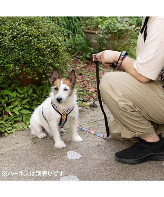 PET PARADISE スヌーピー 75周年 リード 小型犬 ～S 75周年柄