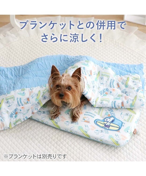 PET PARADISE スヌーピー もちっと クール マット Ｓ 《サーフ柄》 -