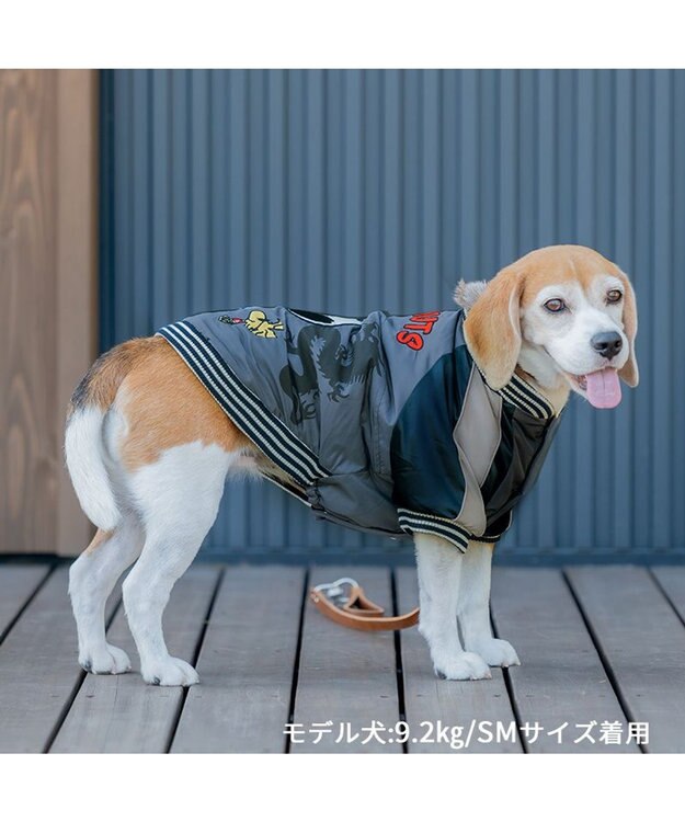 PET PARADISE スヌーピー 遠赤外線 スカジャン 《龍》 中型犬 大型犬 -