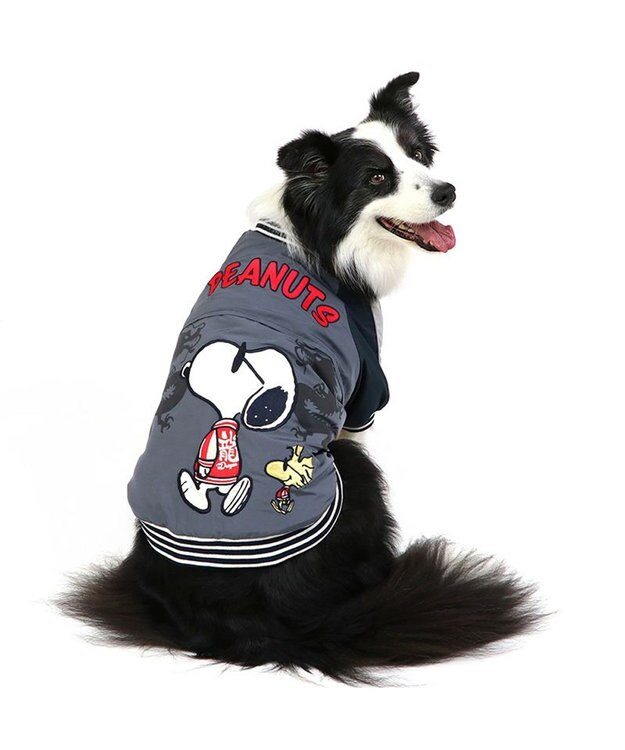 PET PARADISE スヌーピー 遠赤外線 スカジャン 《龍》 中型犬 大型犬 -