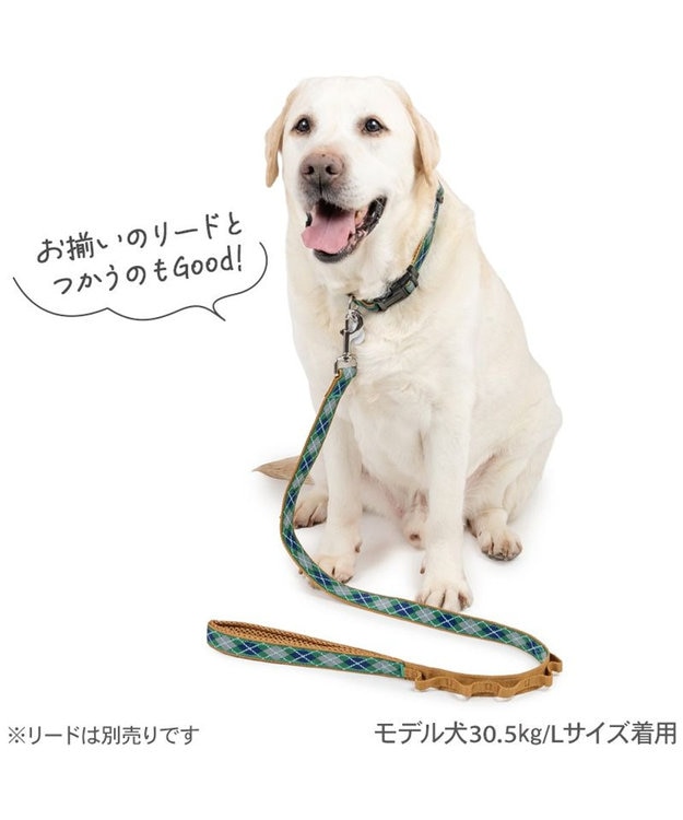 PET PARADISE ペットパラダイス チェック柄 首輪 ＳＭ 中型犬 グリーン