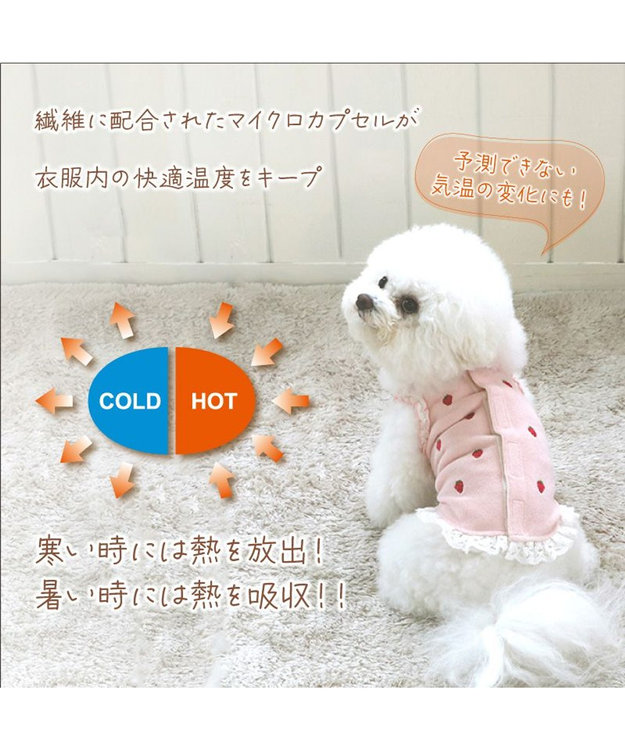 PET PARADISE ペットパラダイス サーモキープ 背中開き タンクトップ  《苺 刺繍》 小型犬 苺 刺繍