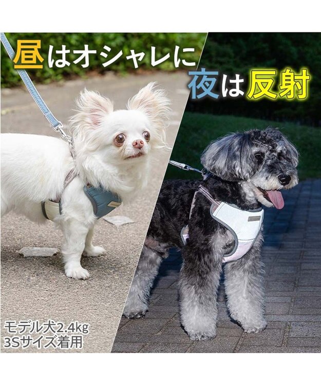 PET PARADISE ペットパラダイス 超反射 切り替え ハーネス＆リード ３Ｓ 《ブルーグリーン》 ブルーグリーン