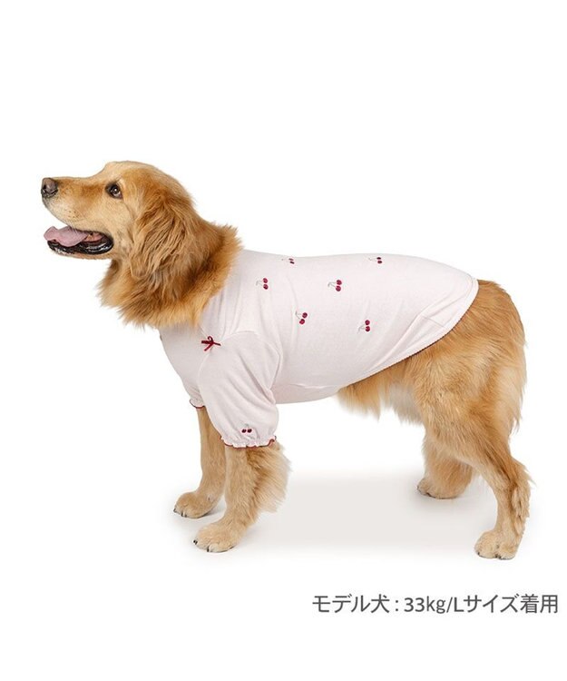 PET PARADISE ペットパラダイス サーモキープ Tシャツ 《チェリー》 中型犬 大型犬 ベビーピンク