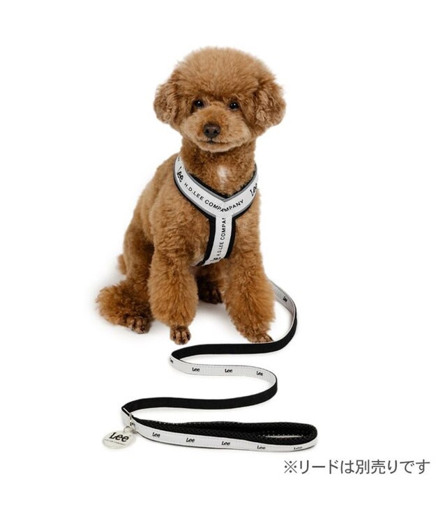 PET PARADISE Lee ロゴ アクティブ ハーネス ３Ｓ 小型犬 ホワイト×ブラック
