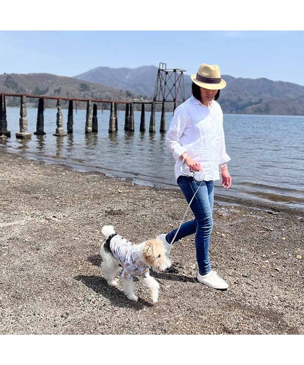 PET PARADISE ペットパラダイス 伸縮リード 《いちご柄 / ロゴ柄 》【小型犬】軽量 ロック式 ロゴ柄