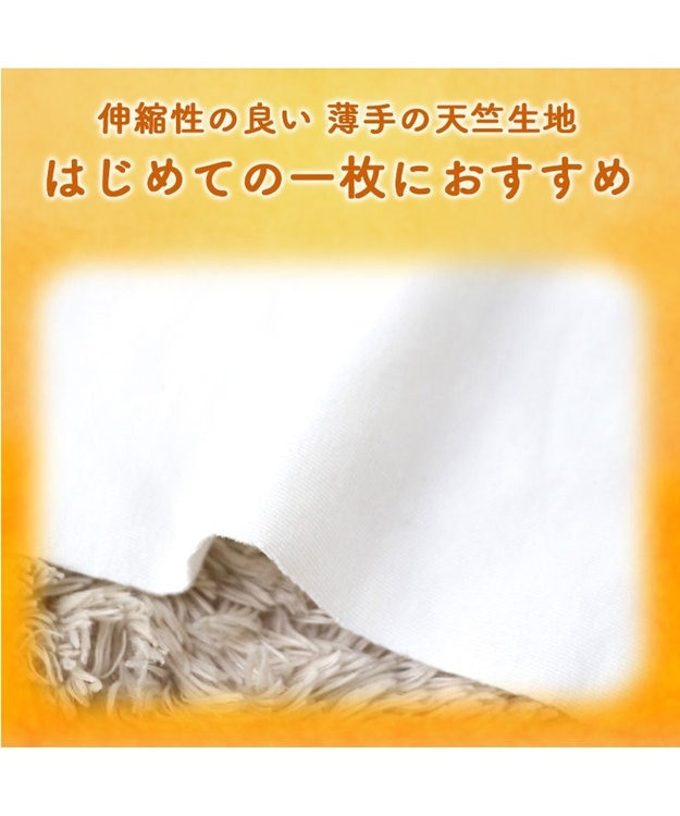 PET PARADISE ペットパラダイス ペティヒート Tシャツ 《マルチボーダー 》小型犬 ベージュ×グレー