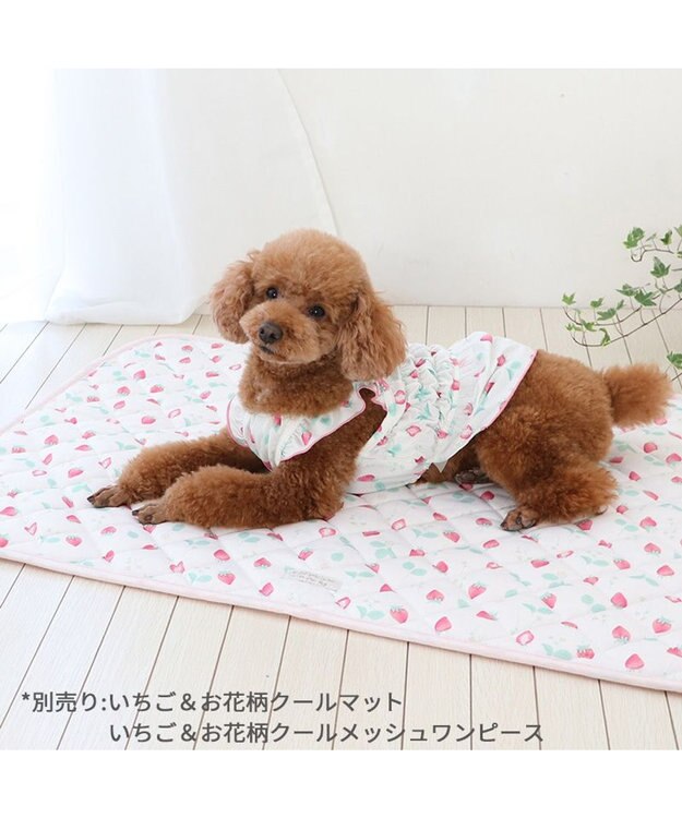 PET PARADISE ペットパラダイス エコメイド キャミソール 《苺柄》 小型犬 苺柄