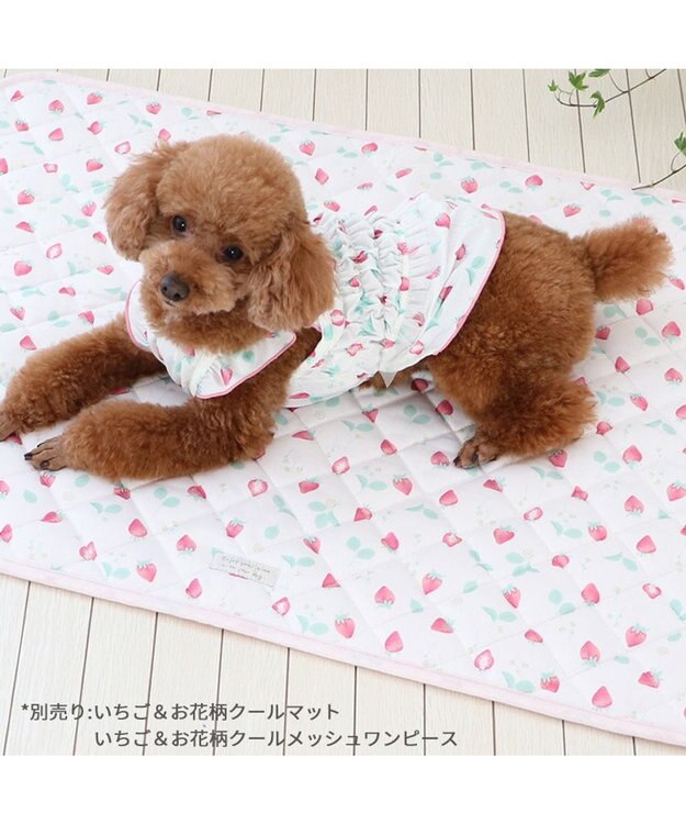 PET PARADISE ペットパラダイス エコメイド キャミソール 《苺柄》 小型犬 苺柄