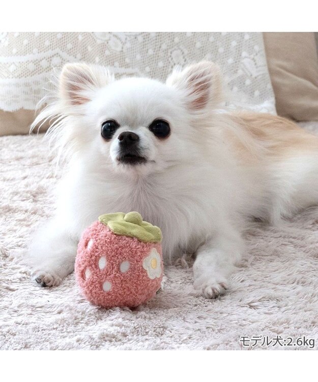 PET PARADISE ペットパラダイス ふわころトイ 《いちご  ピンク》 小型犬  ピンク